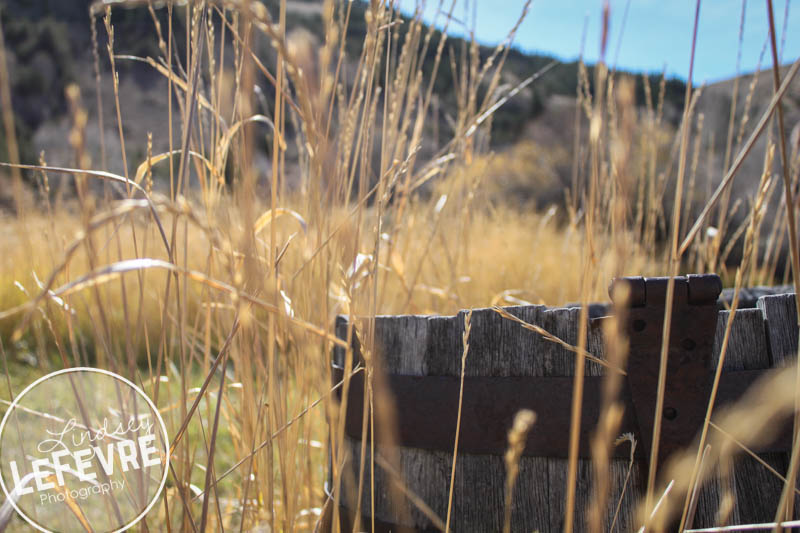 LindseyLeFevre-Bannack-Focus-2