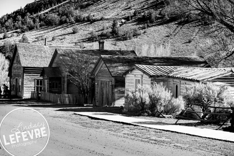 LindseyLeFevre-Bannack-Houses