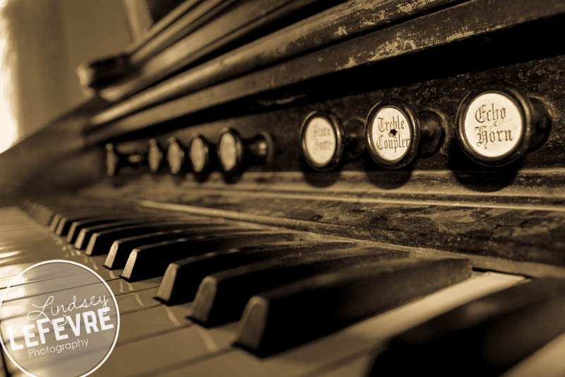 LindseyLeFevre-Bannack-Organ