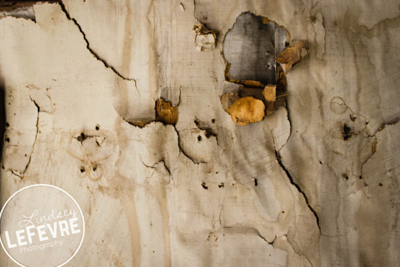 LindseyLeFevre-Bannack-Structure