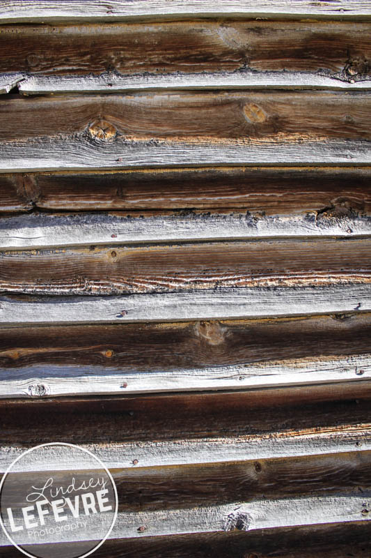 LindseyLeFevre-Bannack-Wooden-2