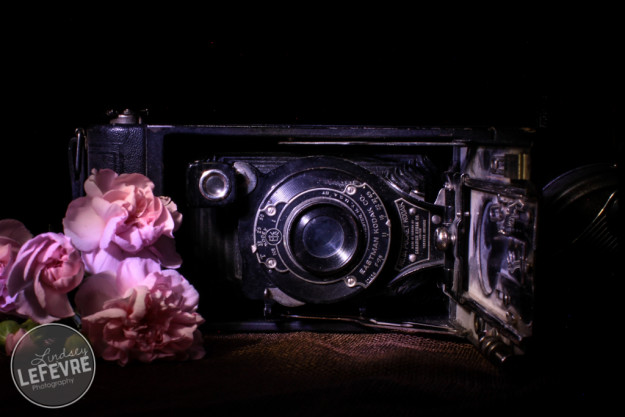Camera and Flowers Light Painting