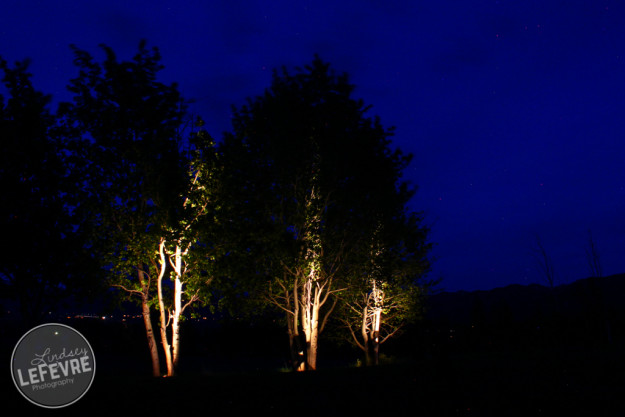 Lindsey-LeFevre-Outdoor-Light-Painting-4