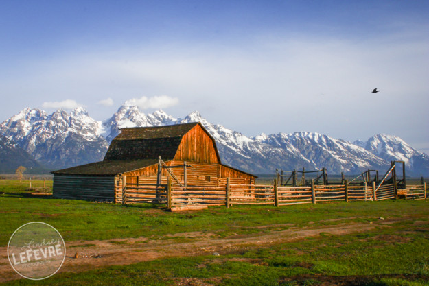 Lindsey-LeFevre-Teton-Mountains-Wyoming-Mormon-Row-Barns-1-2