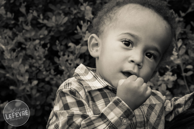 Toddler portrait in the Ricks Gardens by Lindsey LeFevre