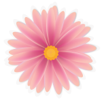 3D-Flower-LindseyLeFevre
