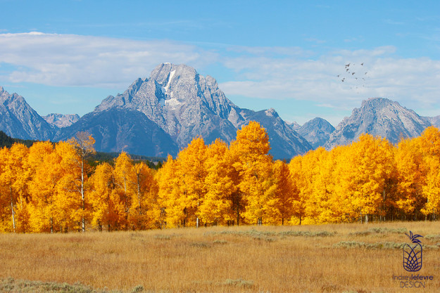 Tetons-Postcard-4x6